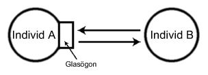 Individ A forses med 
glasogon och kan ater byta symboler