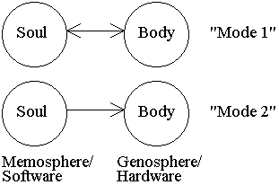 SOUL-BODY ILLUSTRATION
